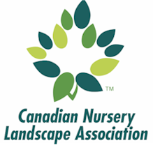 Lawn maintenance Mississauga