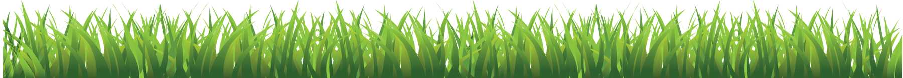 Lawn care Mississauga